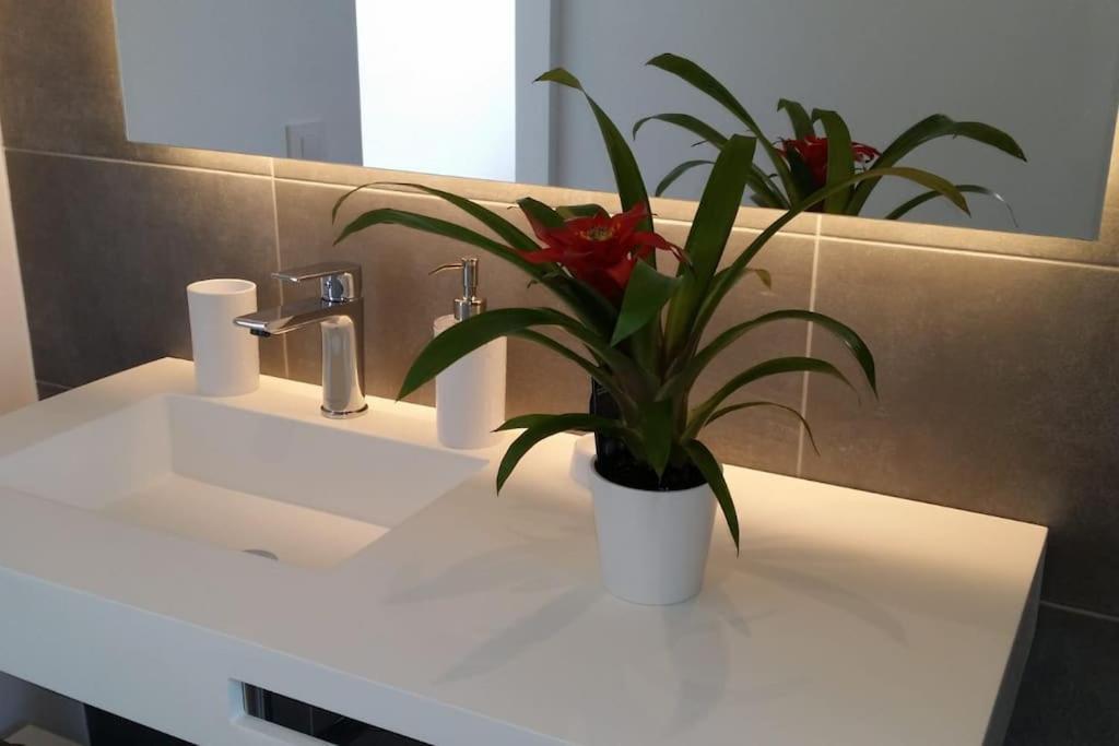 Villa Noka Cala'N Blanes  Zewnętrze zdjęcie